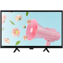 OL24WD300ORION ハイビジョン24型液晶テレビ㈱ドウシシャ