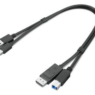 4X91D11453ThinkStation Mini-DisplayPort/USB Type-A3.0 - DisplayPort/USB Type-B3.0 変換アダプターレノボ・ジャパン（同）