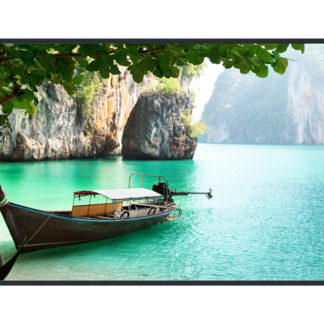 TH-65CQ2J<BR>4Kエントリー液晶ディスプレイ 65型/3840×2160/HDMI、ミニD-sub15ピン/ブラック/スピーカー：あり<BR>パナソニック㈱