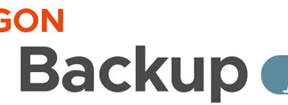 VB801-H20Paragon VM Backup 保守パラゴンソフトウェア㈱