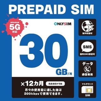 202306013012楽天プリペイドSIM 毎月30GB 初月＋12ヶ月 SMS受信可㈱モバイル・プランニング